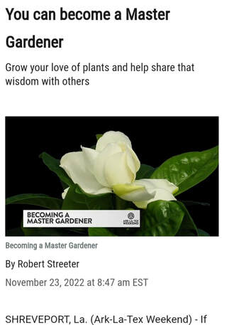 Flower Preservation Master Course
